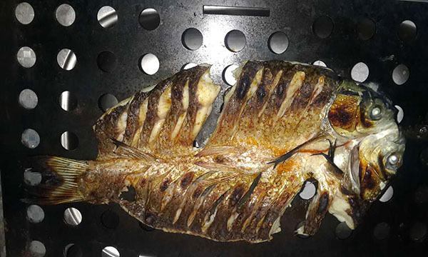 平方式電烤魚爐.jpg 平方式電烤魚爐.jpg