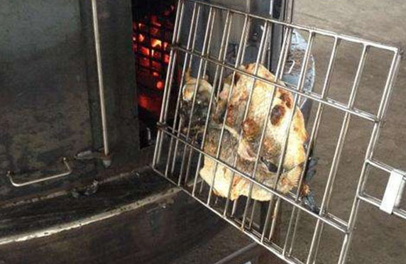 豎叉式電烤魚爐.jpg 豎叉式電烤魚爐.jpg